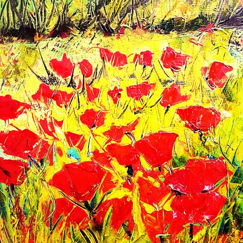 Champ de coquelicots