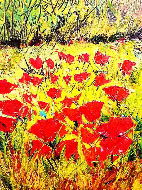 Champ de coquelicots