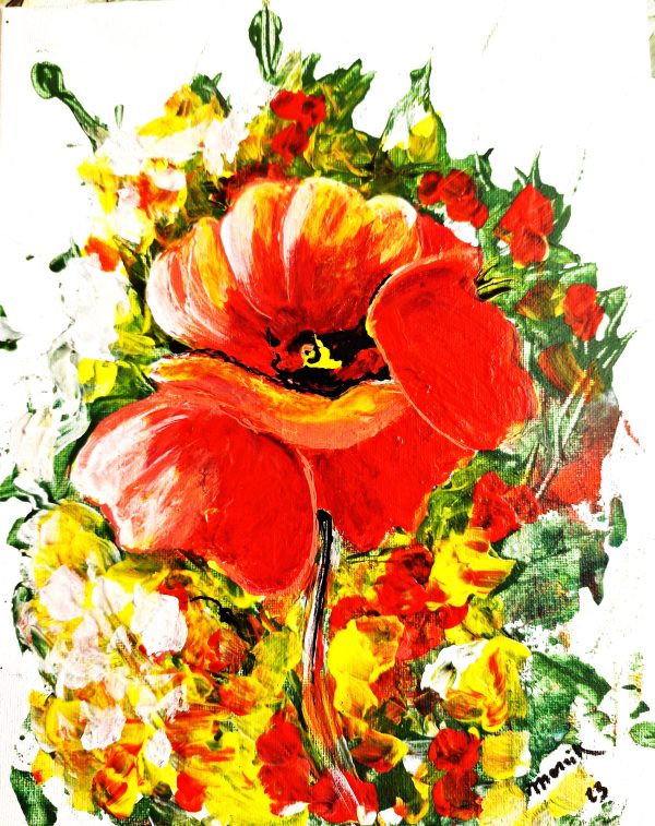 Coquelicot