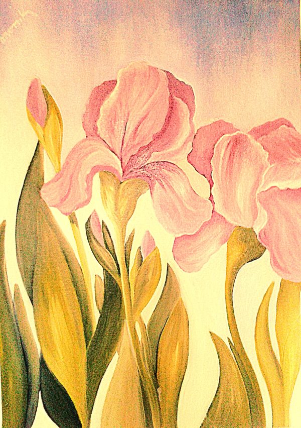 Iris