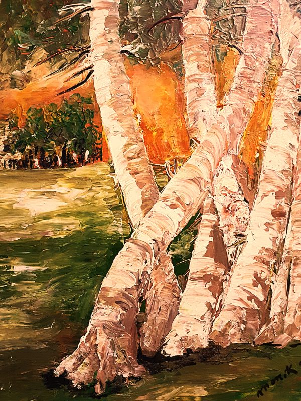 Les bouleaux