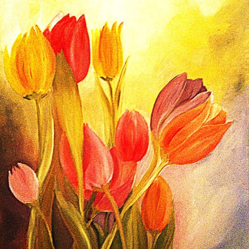 Tulipes