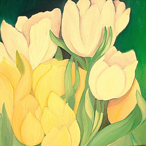 Tulipes