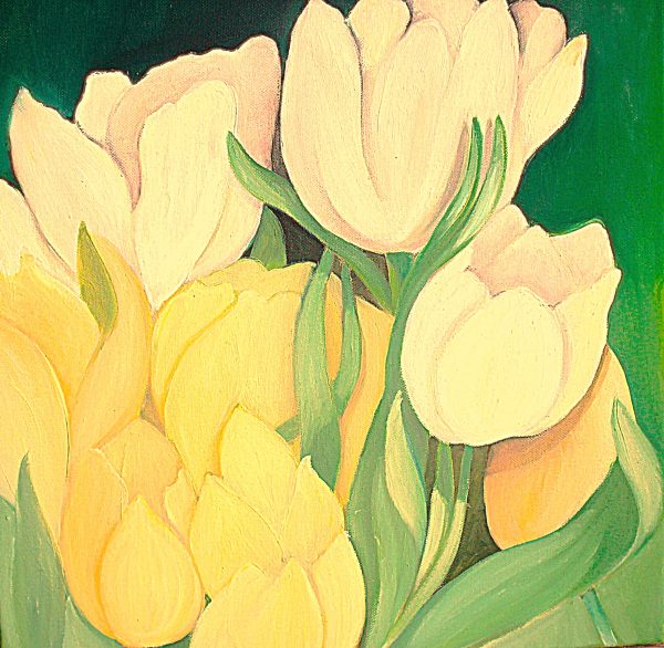 Tulipes